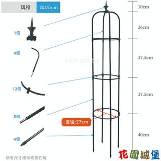 攀藤架|DIY攀藤花架省錢秘訣